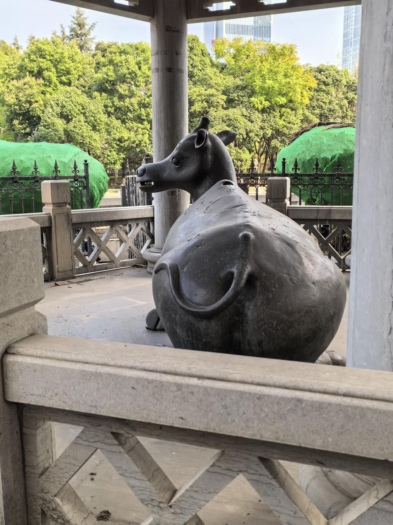 这就是传说中的牛马？