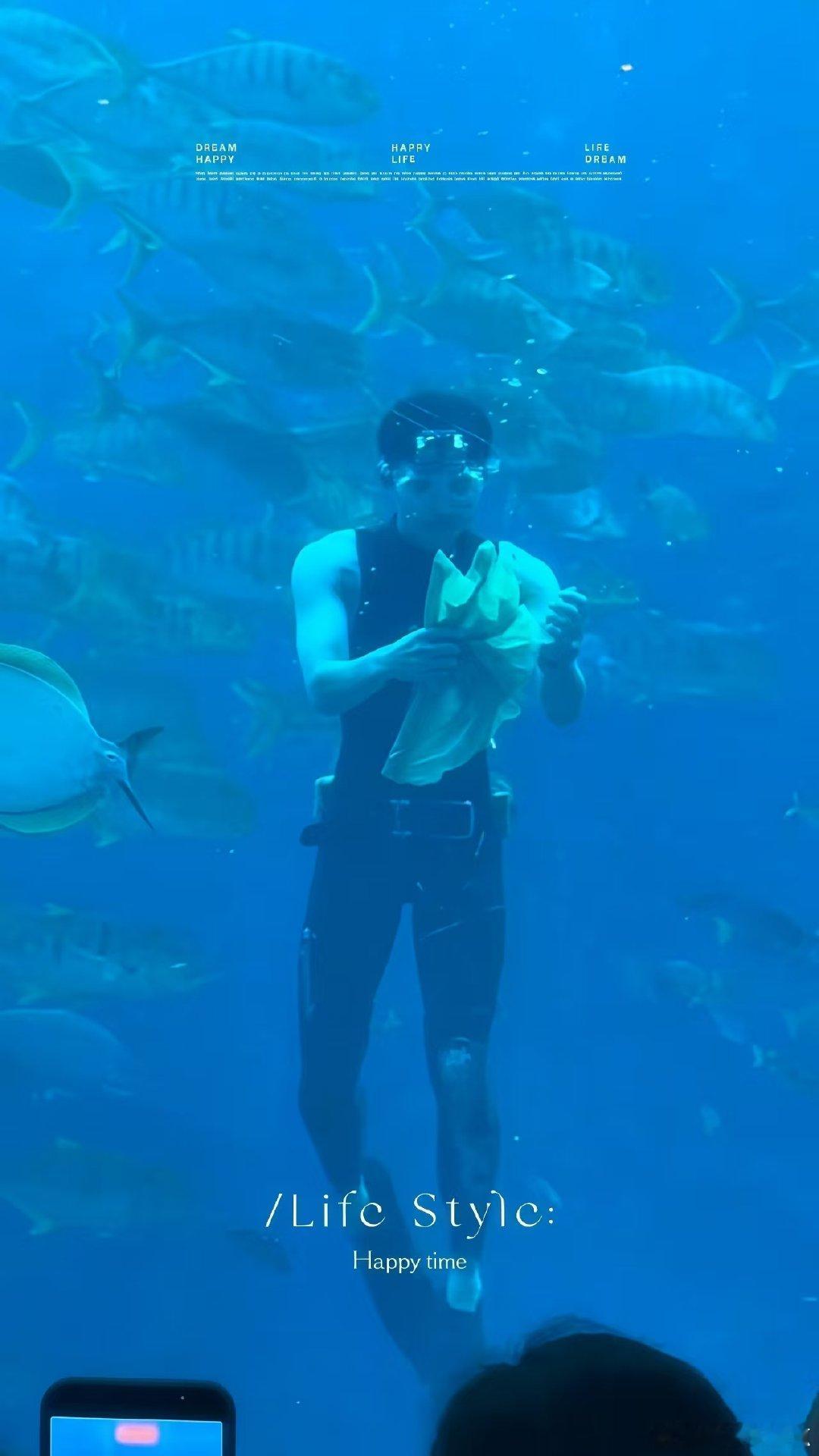 水族馆的男美人鱼竟然是吴磊这一刻直接被颜值折服，沉浸式感受水族馆的浪漫幻境，没想