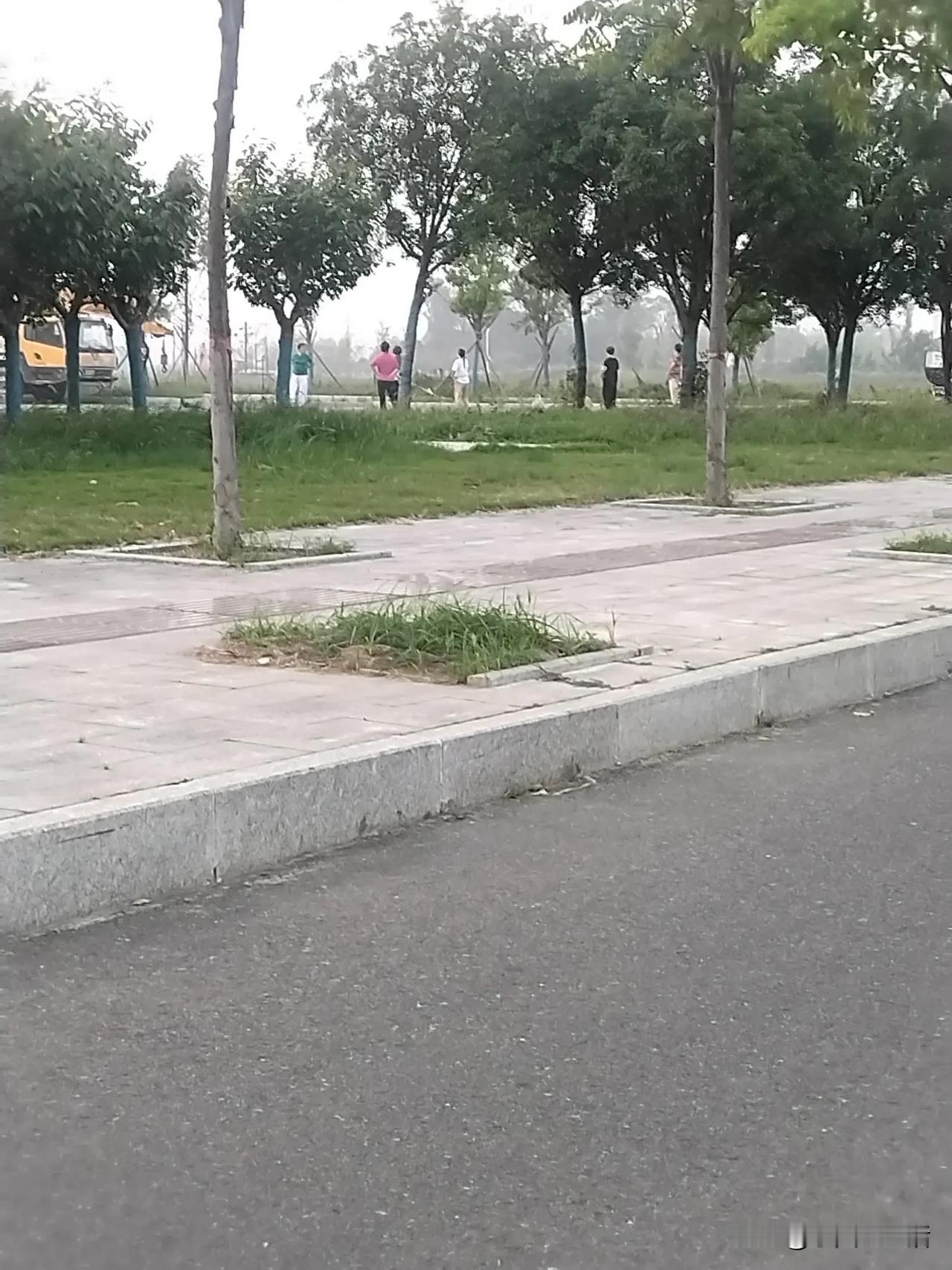 有些老人就是乱穿衣服。昨天早晨去送小孩上学，路过公园那条路的时候，老远看见一个年