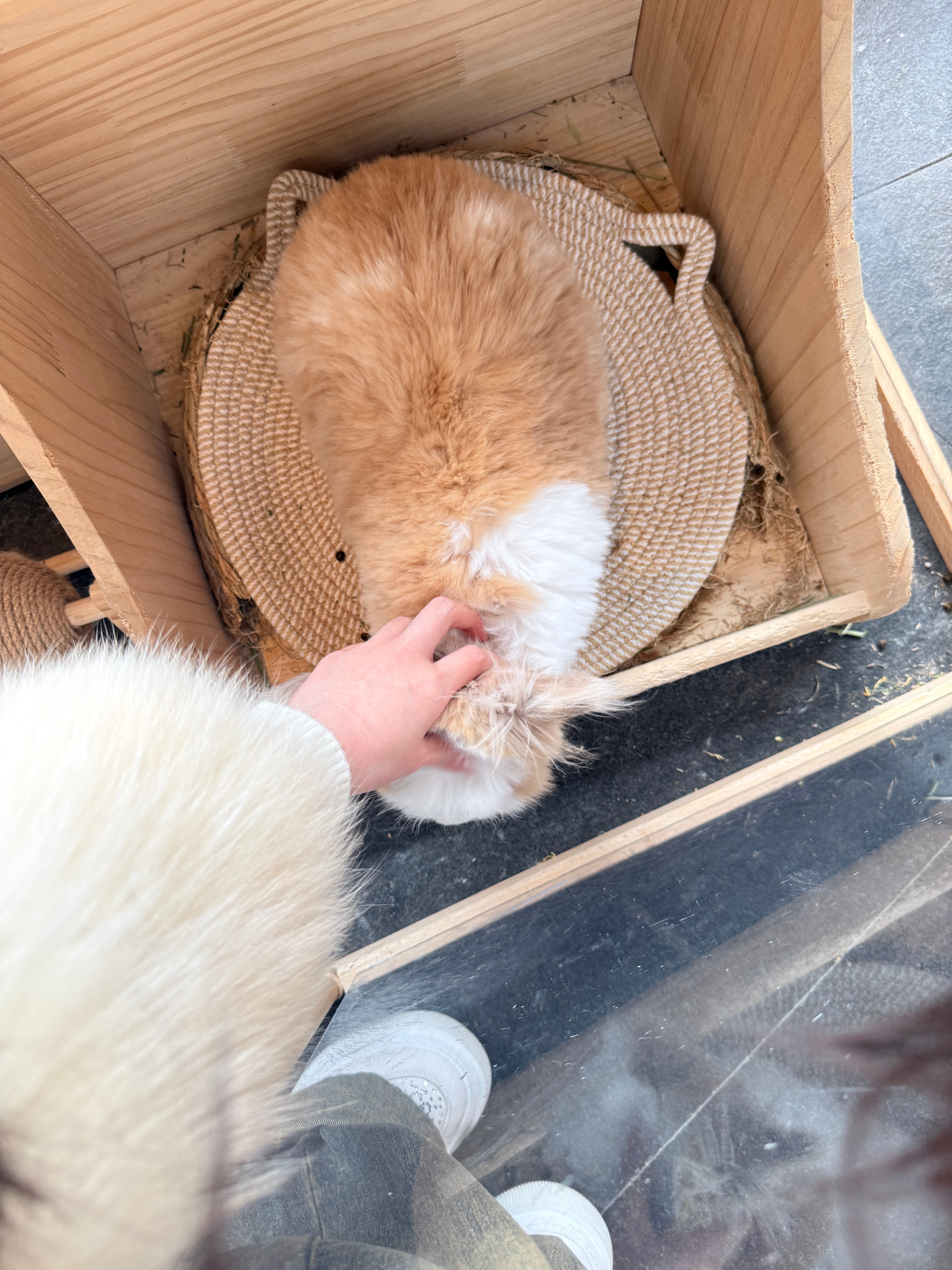请叫我拖拉大王！！！ 杭州·杭州春之屋温泉酒店