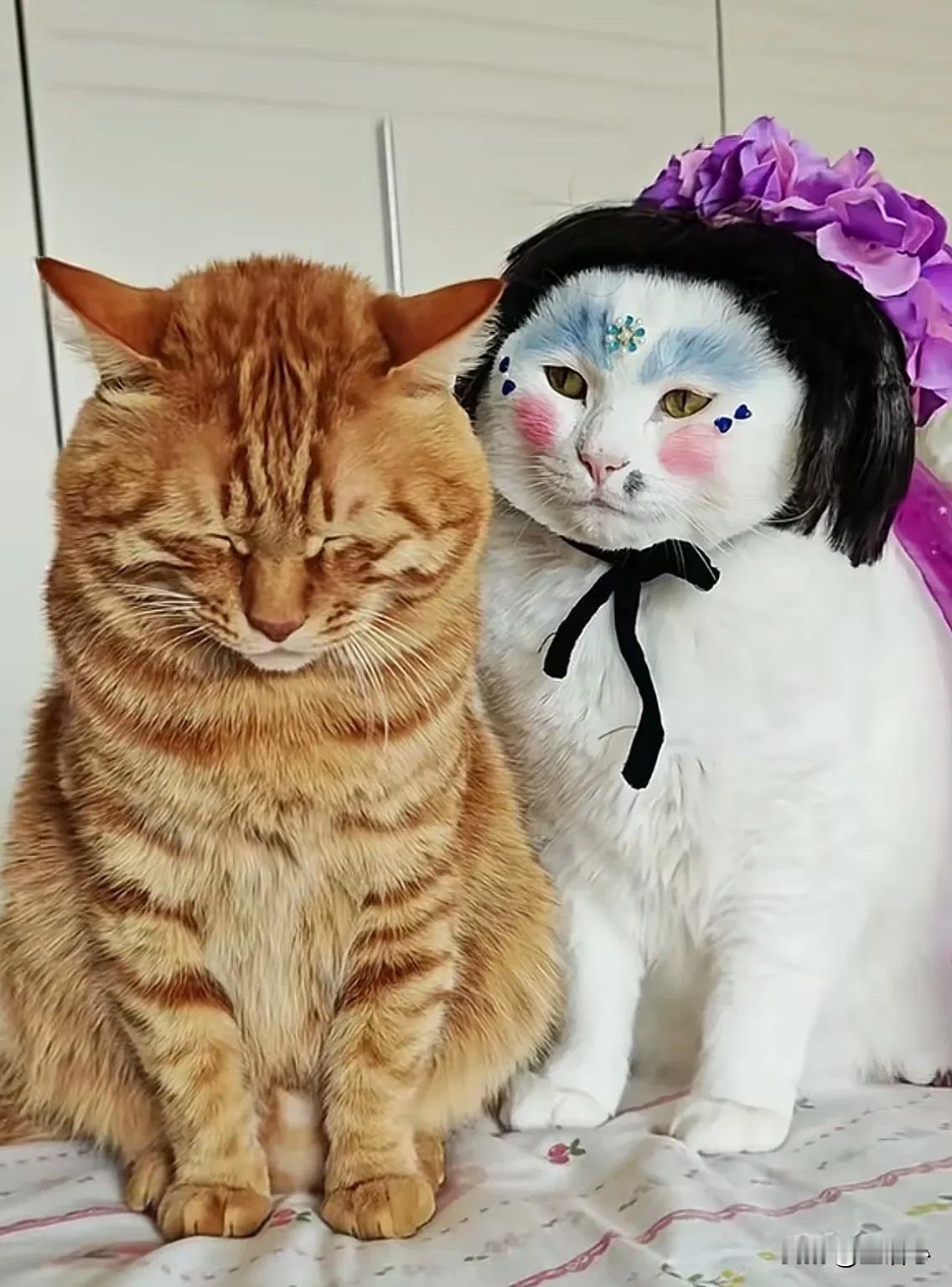 [心][心]凡是离异丧偶的姐妹都可以私信给我或者在评论区留言，我愿意帮助姐妹们义