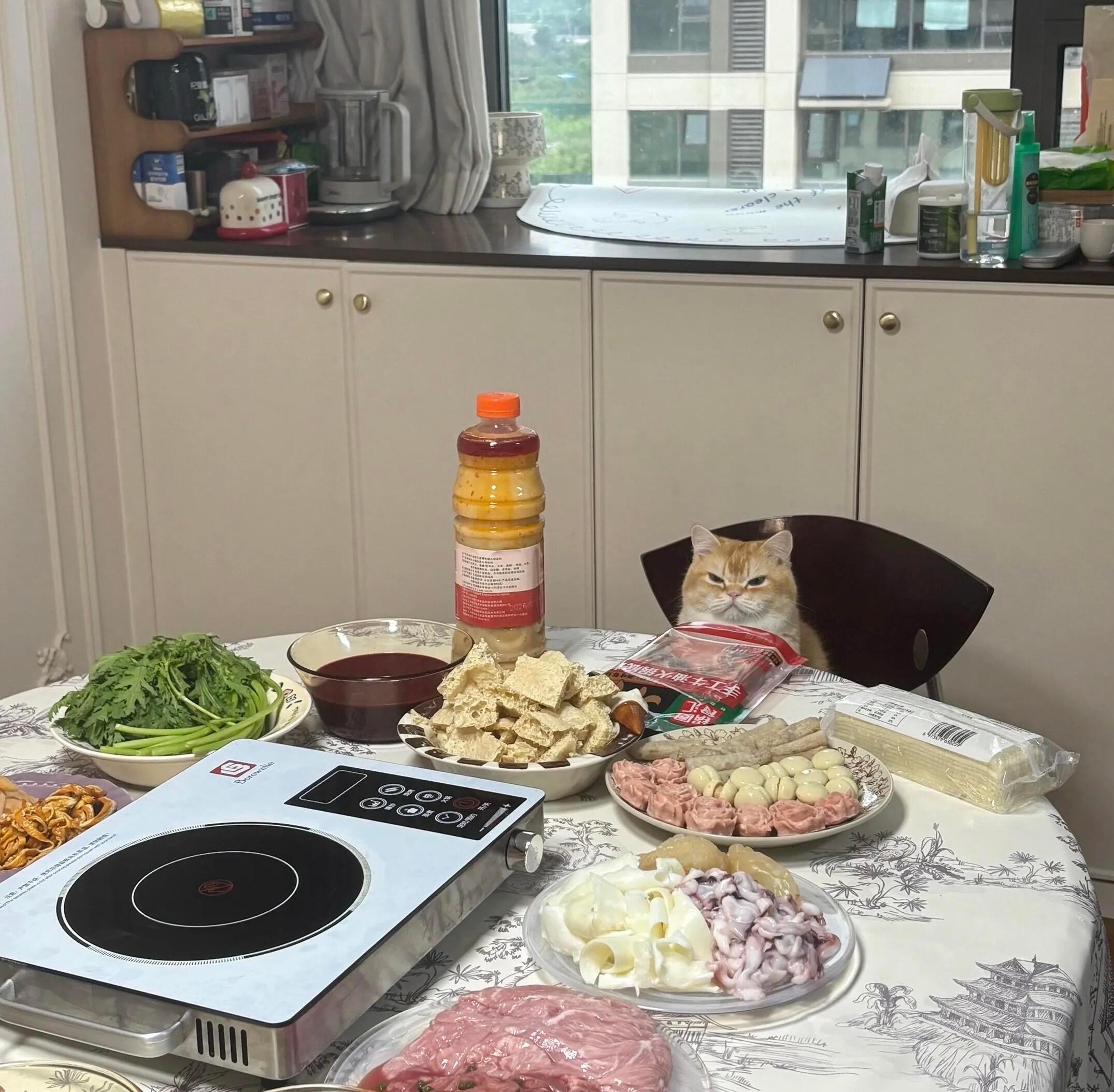 猫怒等了好久 ​​​
