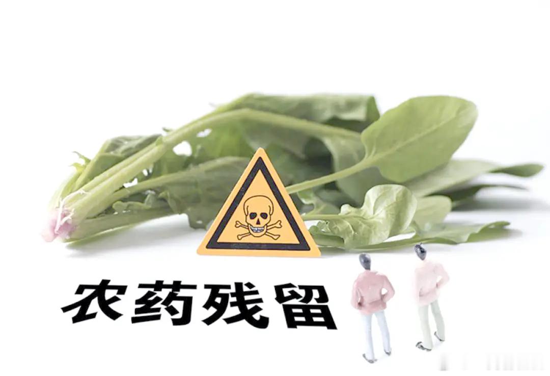 食品安全有救了：在央视讲座的王旭峰营养师去除果蔬的药残、肉类有激素、抗生素的方法