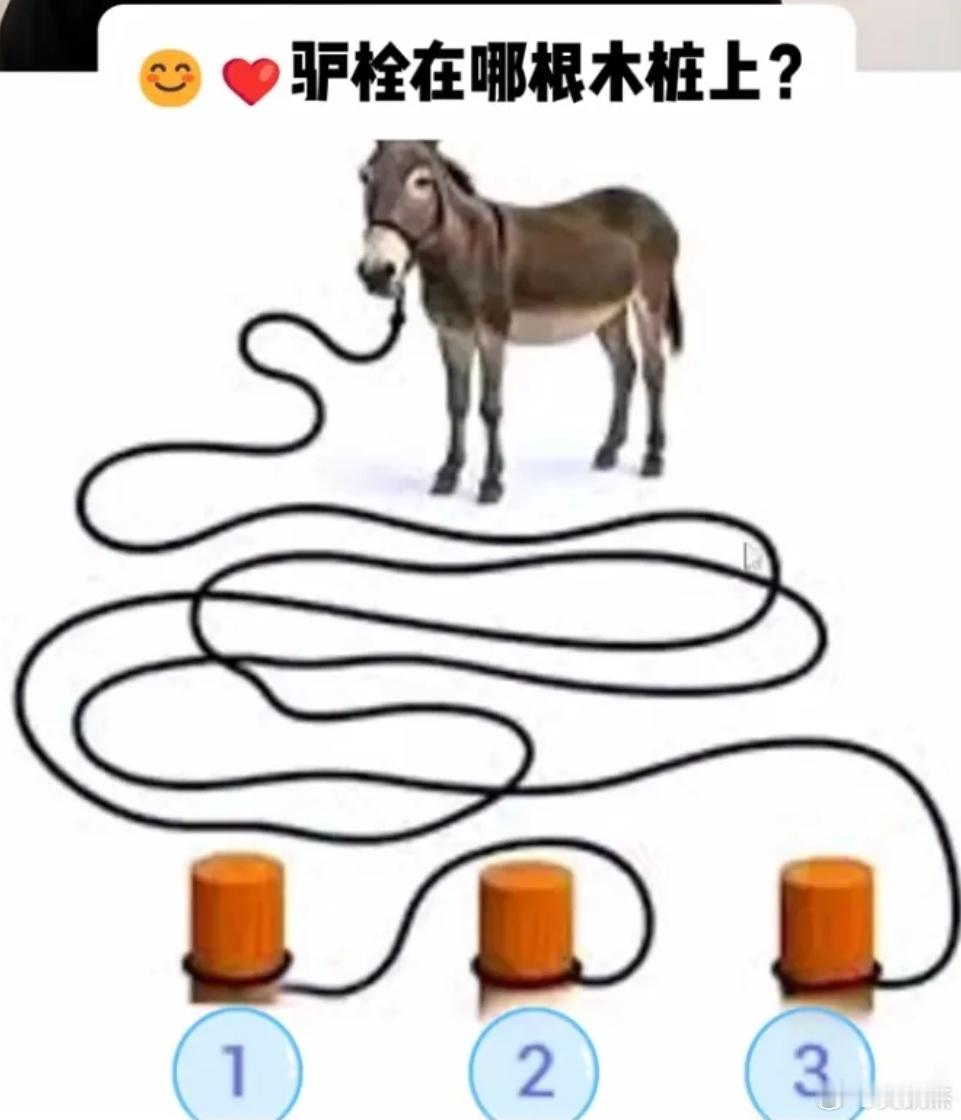 一道很让我无语的题。请问驴拴在哪根柱子上？ ​​​