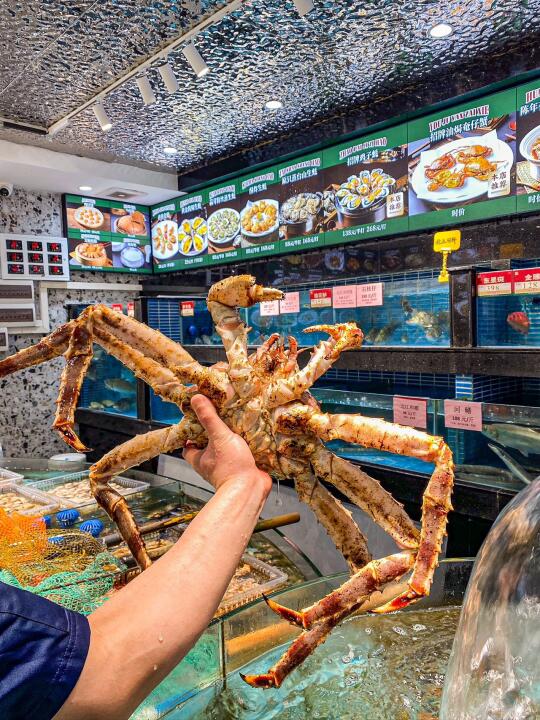 顺德鲜味空降广州！