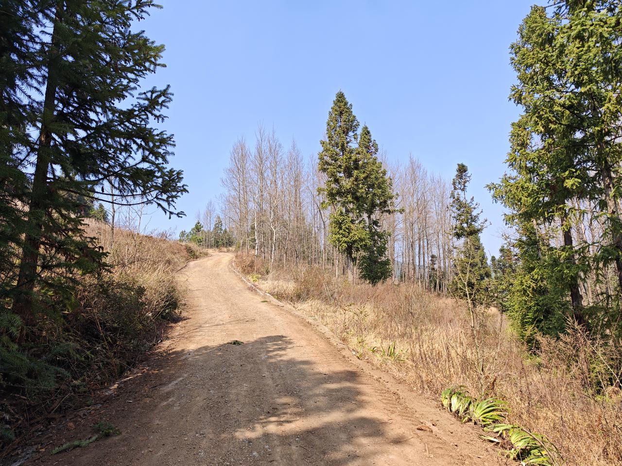 人到中年，除了钱什么最重要了人到中年，事业已经基本定型，心态也和年轻时不一样了，