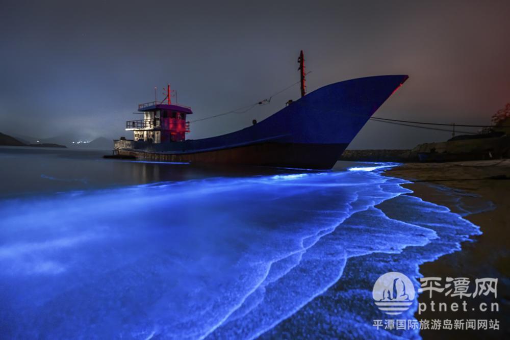 【福州“蓝眼泪”提早一个月出现】

由夜光藻等发光浮游生物形成的蓝色荧光现象，俗
