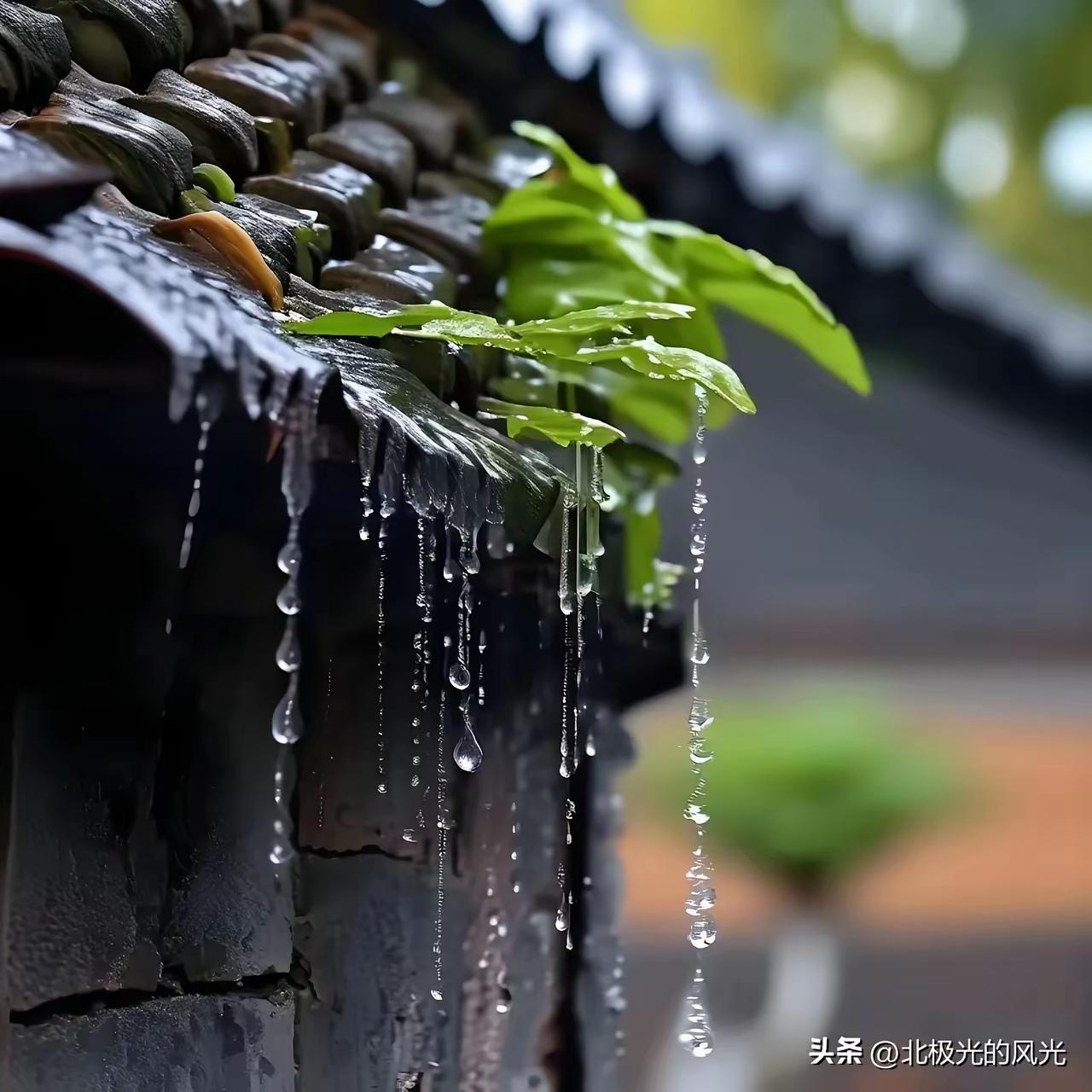 致远去的你
 
总以为离别还很遥远
一转眼，就隔了岁岁年年
你走后
世界少了一份