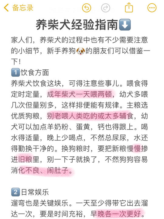 柴犬铲屎官必看👀 经验大合集！
