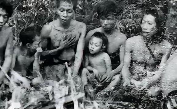 1956年，解放军在哀牢山密林中，发现了一群几乎全裸的男男女女！调查后才知道，他