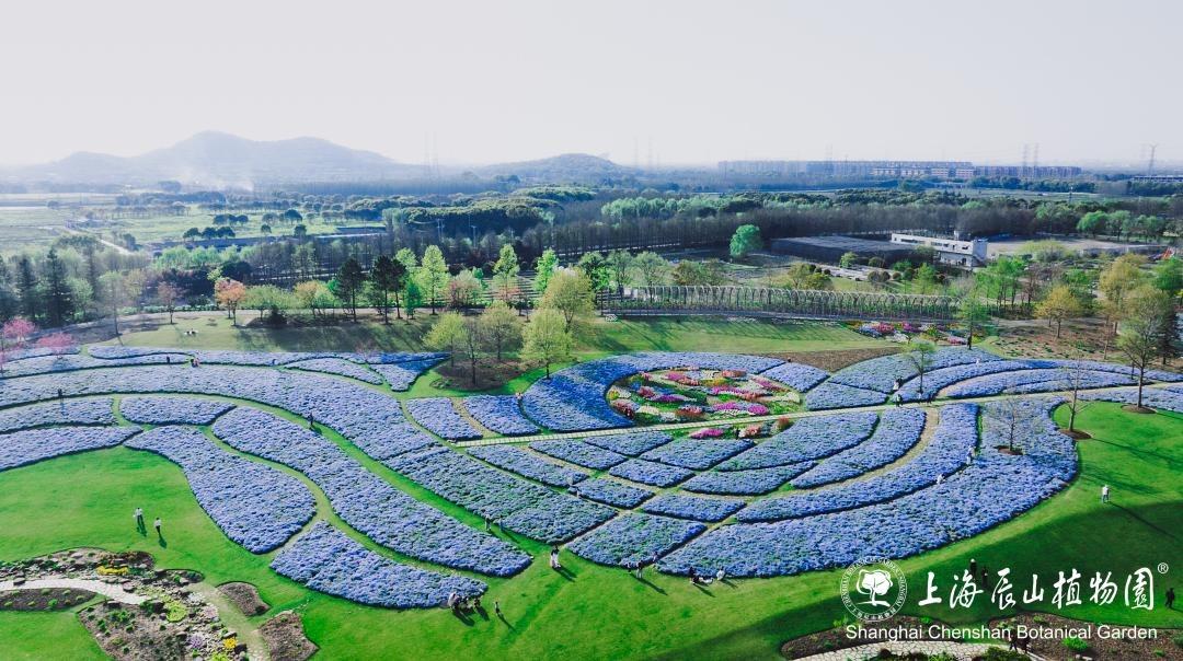 2026 年 6 月 29 日，国务院批复同意设立上海辰山国家植物园，7 月 2