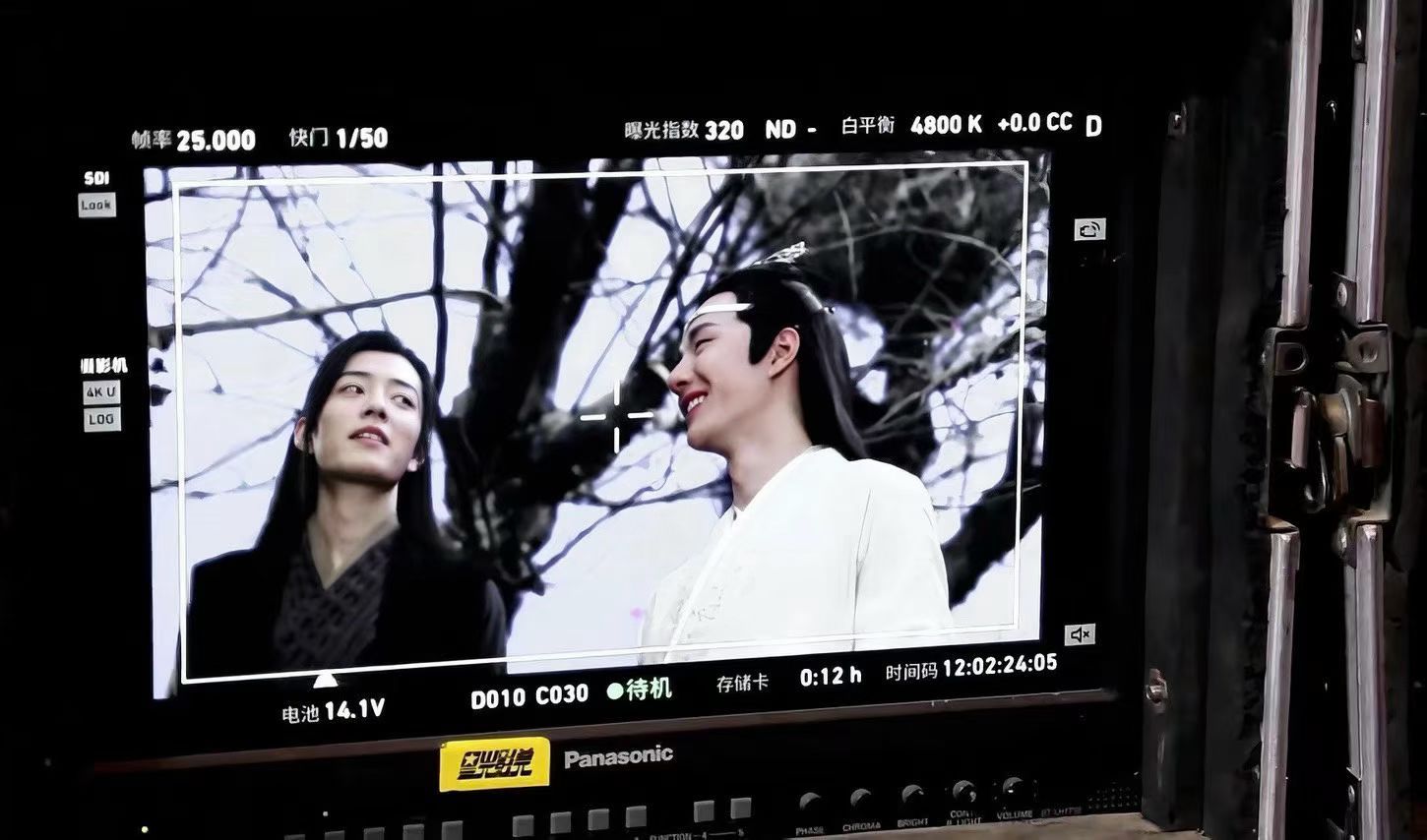博君一肖 💛博君一肖 太子妃妃 今日安否 