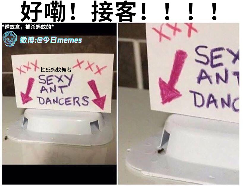 舞蚂蚁~（9gag）哎呀