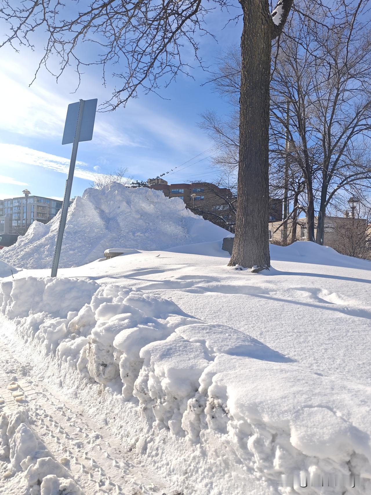 晒出你近期的原创摄影作品渥太华昨天的一场大雪(预报小雪)，一夜之间筑起一座座小山