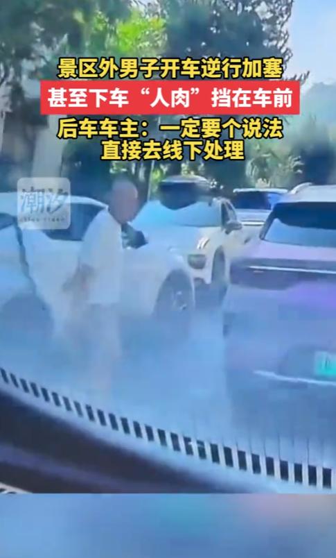 “脸都不要了！”2025年8月，陕西，一景区外堵车，可男子却逆行加塞，甚至从车上