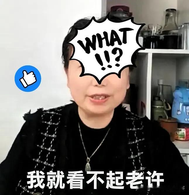 笑不活了家人们！他大娘这直播嘴瓢真是没带重样的，昨天又整出“我就是看不起老许”的