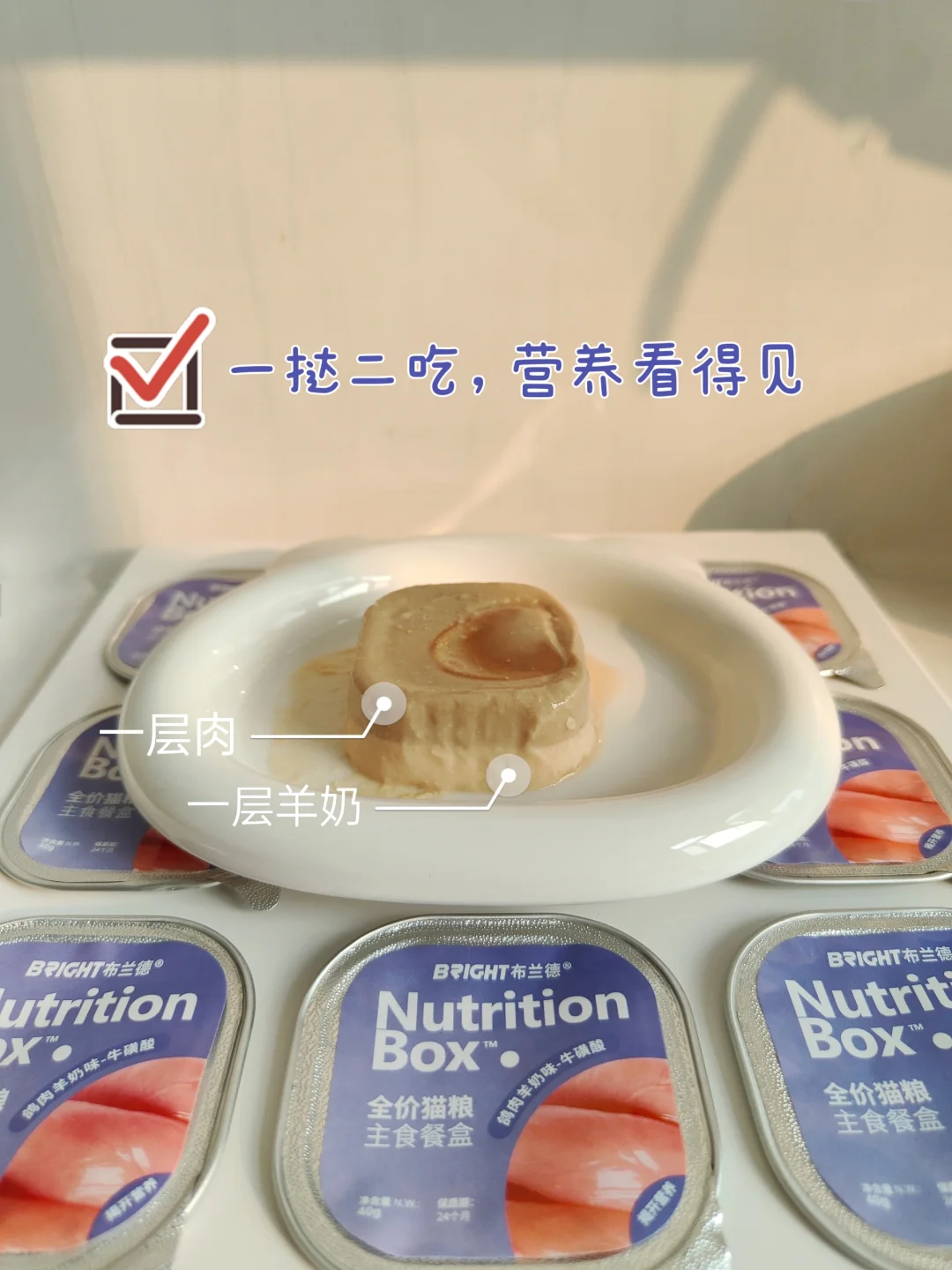 小猫都这么会过了吗？？