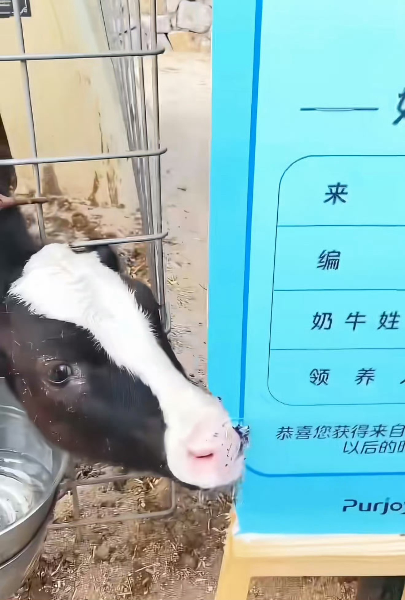 一起牛你快点啃，把整个牌子都啃完，留下成毅的亲签给我，谢谢，爱你哟～