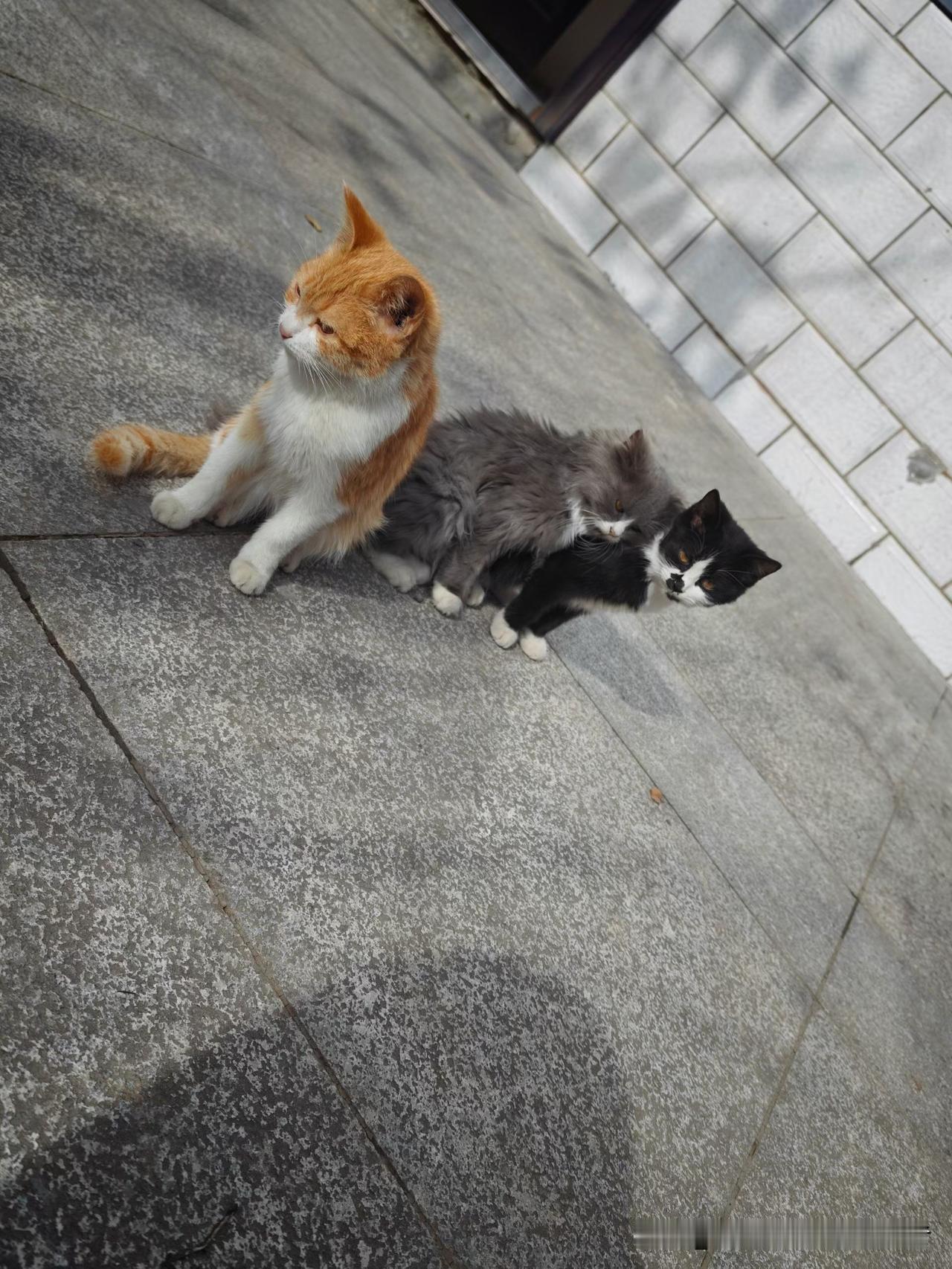 自己都过紧日子，到底该不该救济别人？答案太戳心了
 
很多人都在纠结：手头本就不