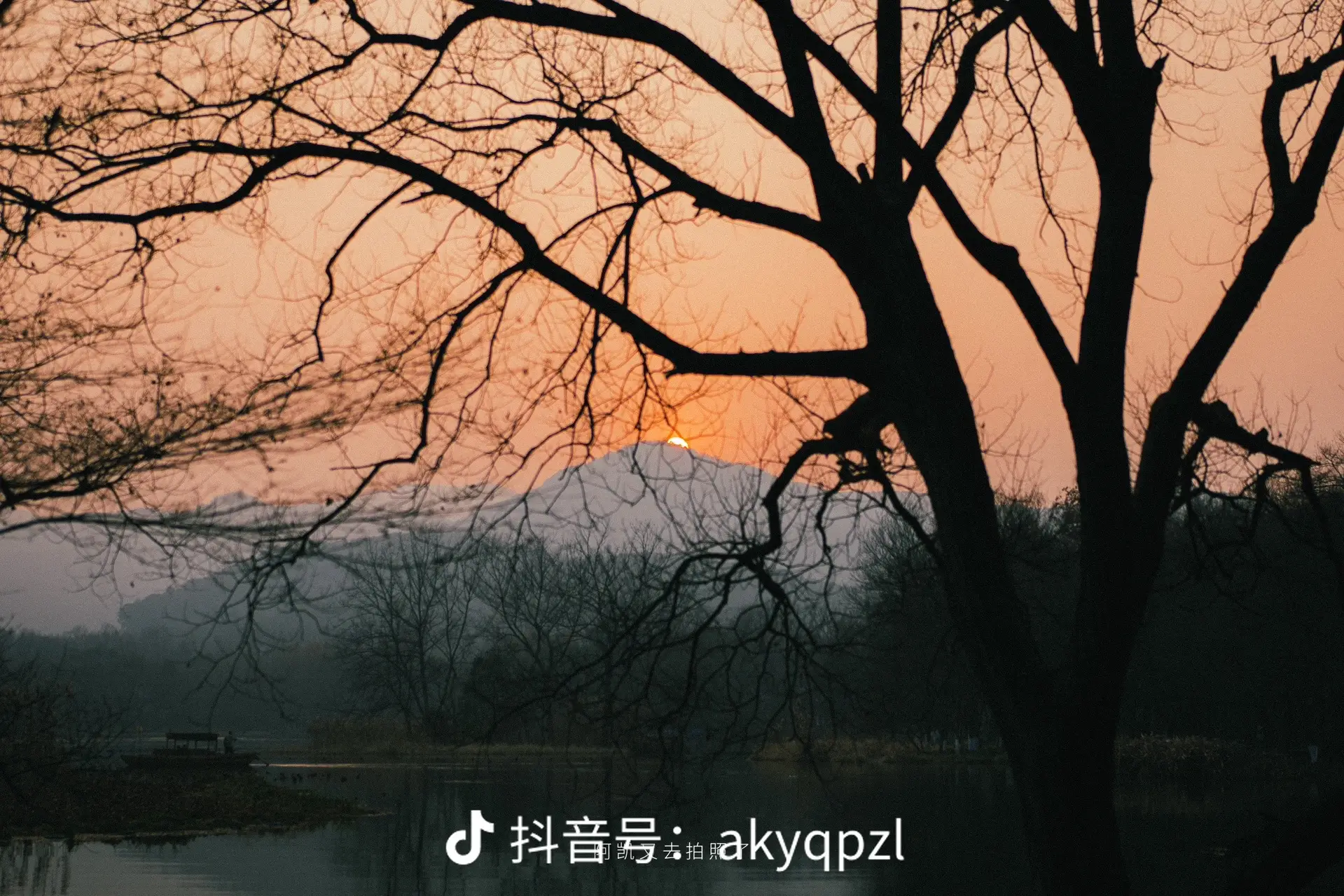 看看你们2024的第一组照片。