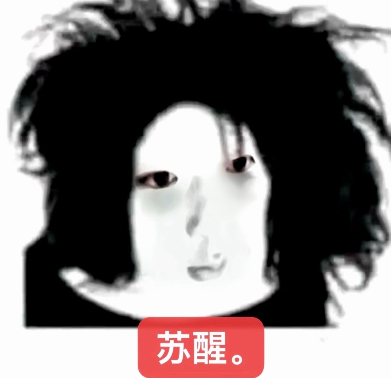 分享图片 
