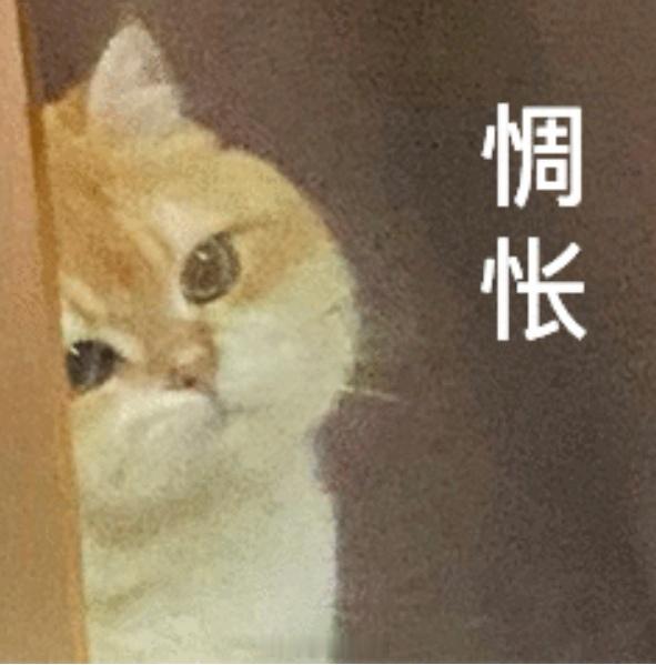 每当写也写不好，每当看也没人看，每当看了的还说看不懂我都要质疑——我为啥要写马瑾