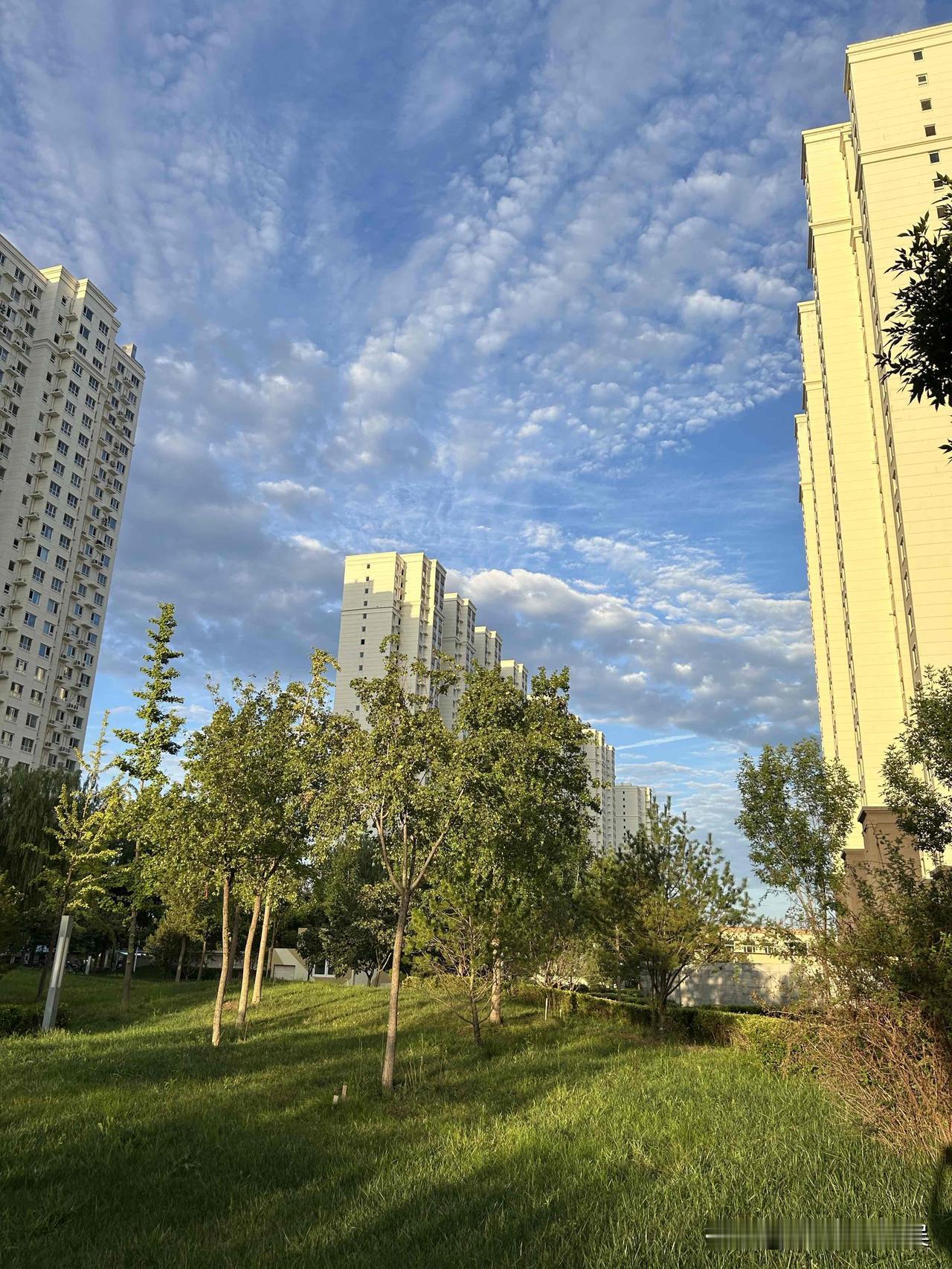 随手拍一拍今日天空