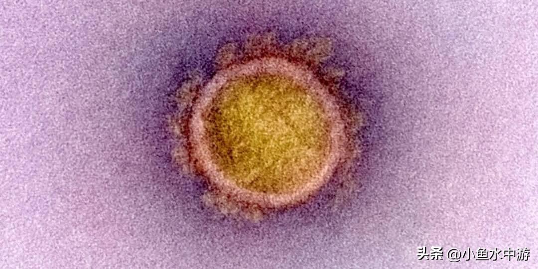 新冠卷土重来？新毒株蔓延全美，疫苗挡不住……
 
美国出现新的新冠变异毒株，根据