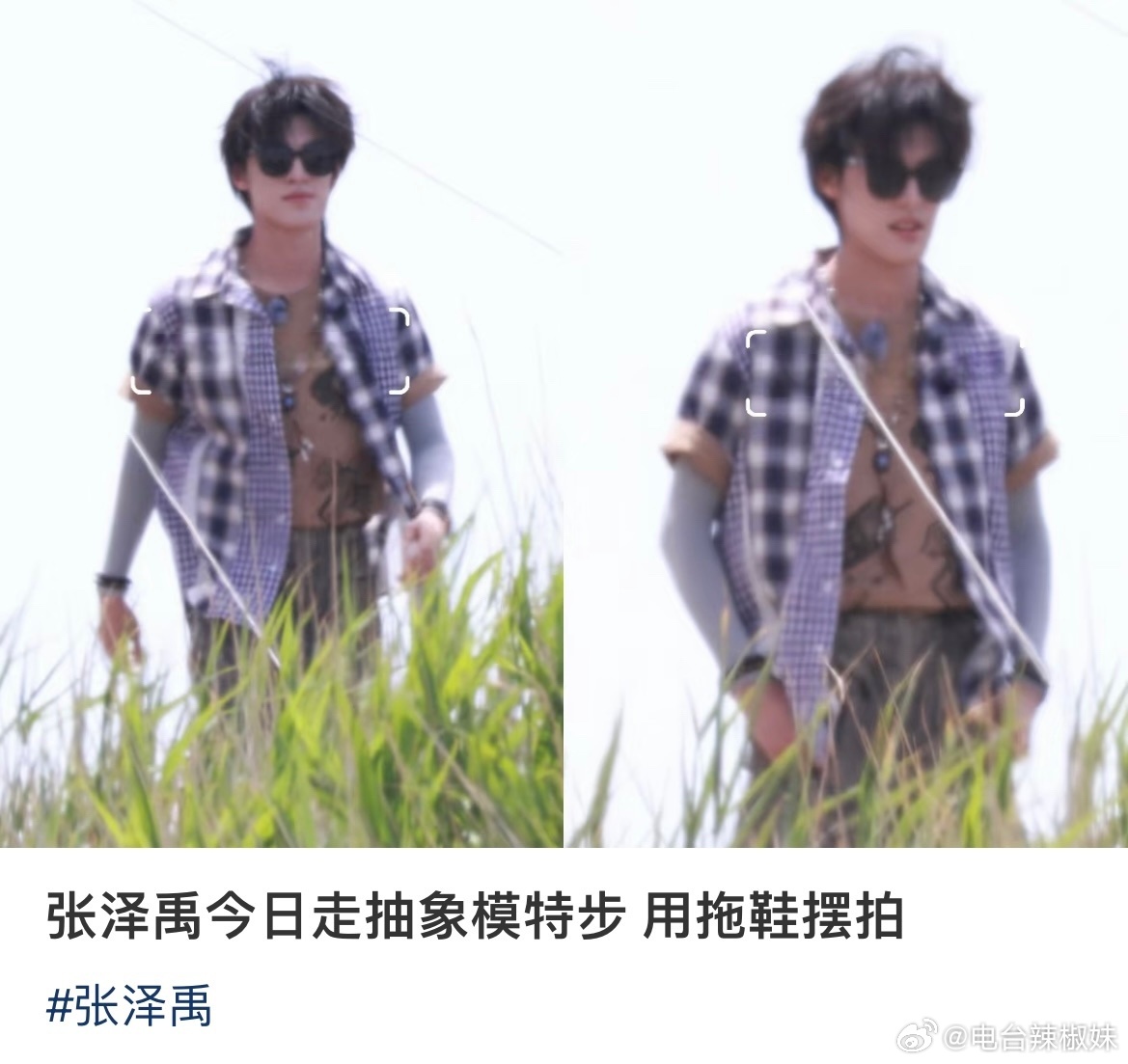 光看描述就已经被逗笑了