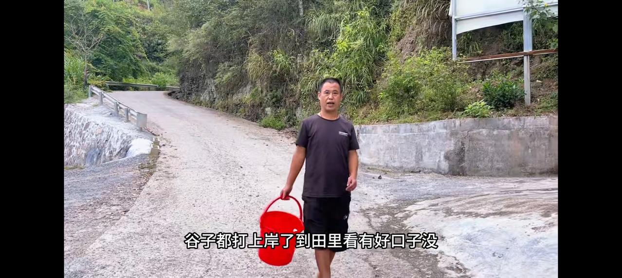 冬宝最近忙得脚不沾地，村播大赛、月饼带货排满日程。之前答应二叔23号带茶叶，只能
