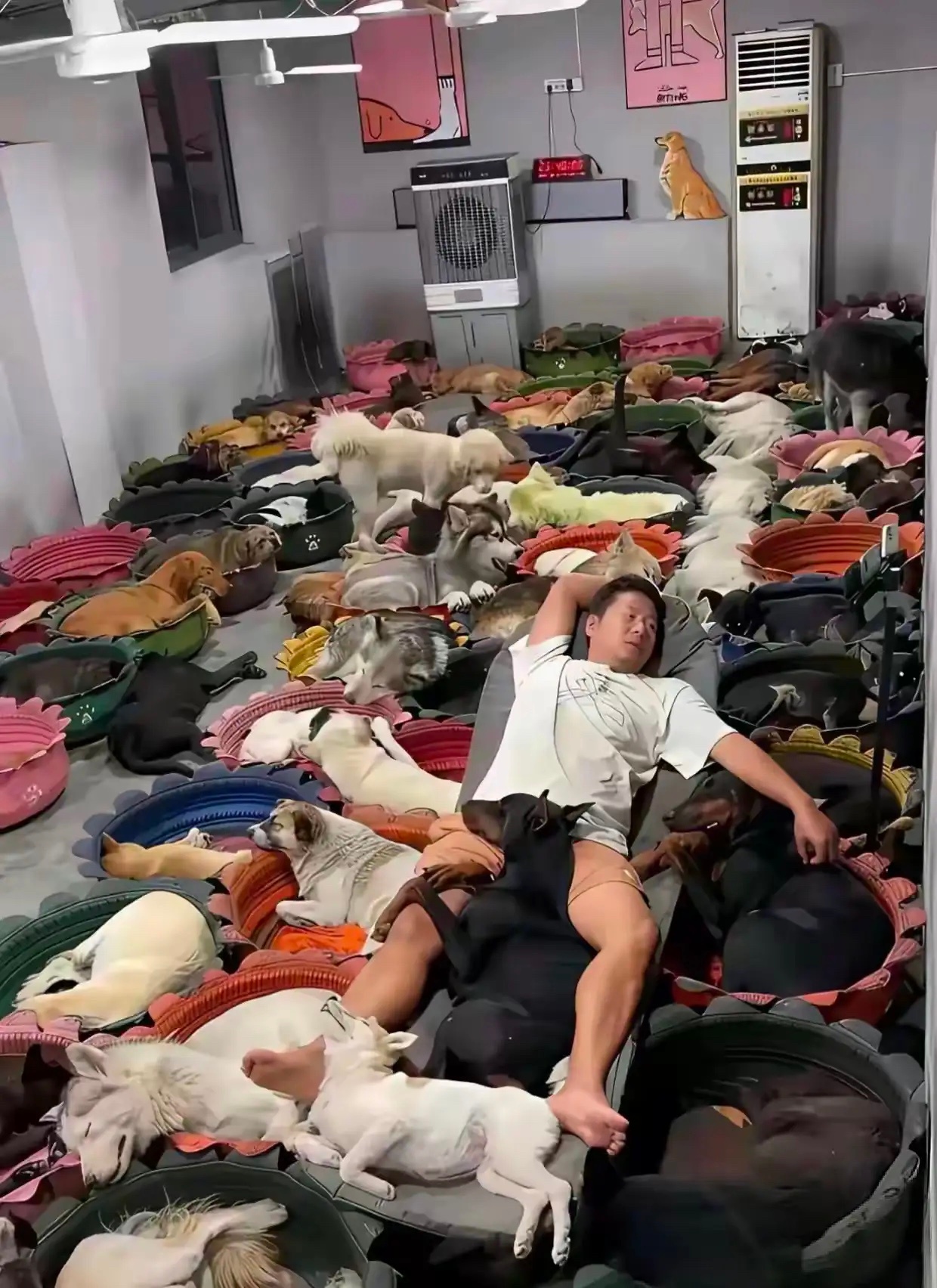 没有一百万的身家，怕是养不起吧？