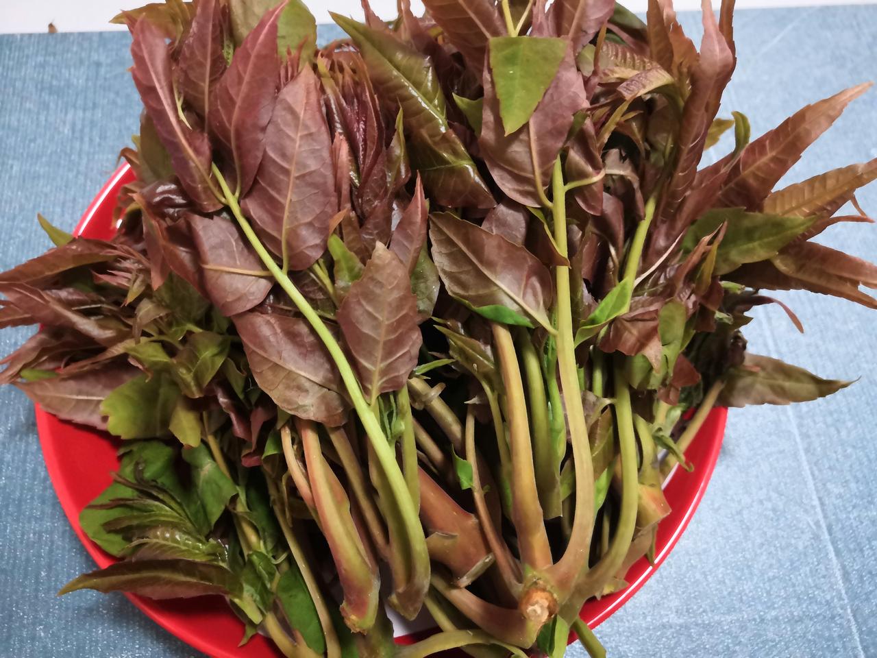 昨天周末在家里，我思前想后买什么菜呢？眼看着春天快过完了，今年我还没买过香椿，于