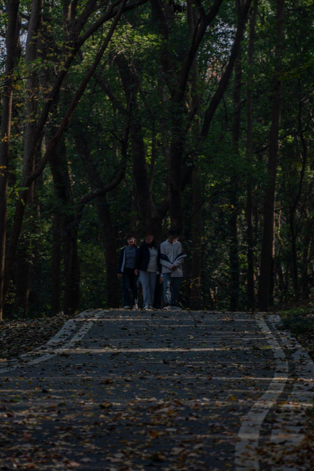 神山公园1芜湖芜湖·神山公园