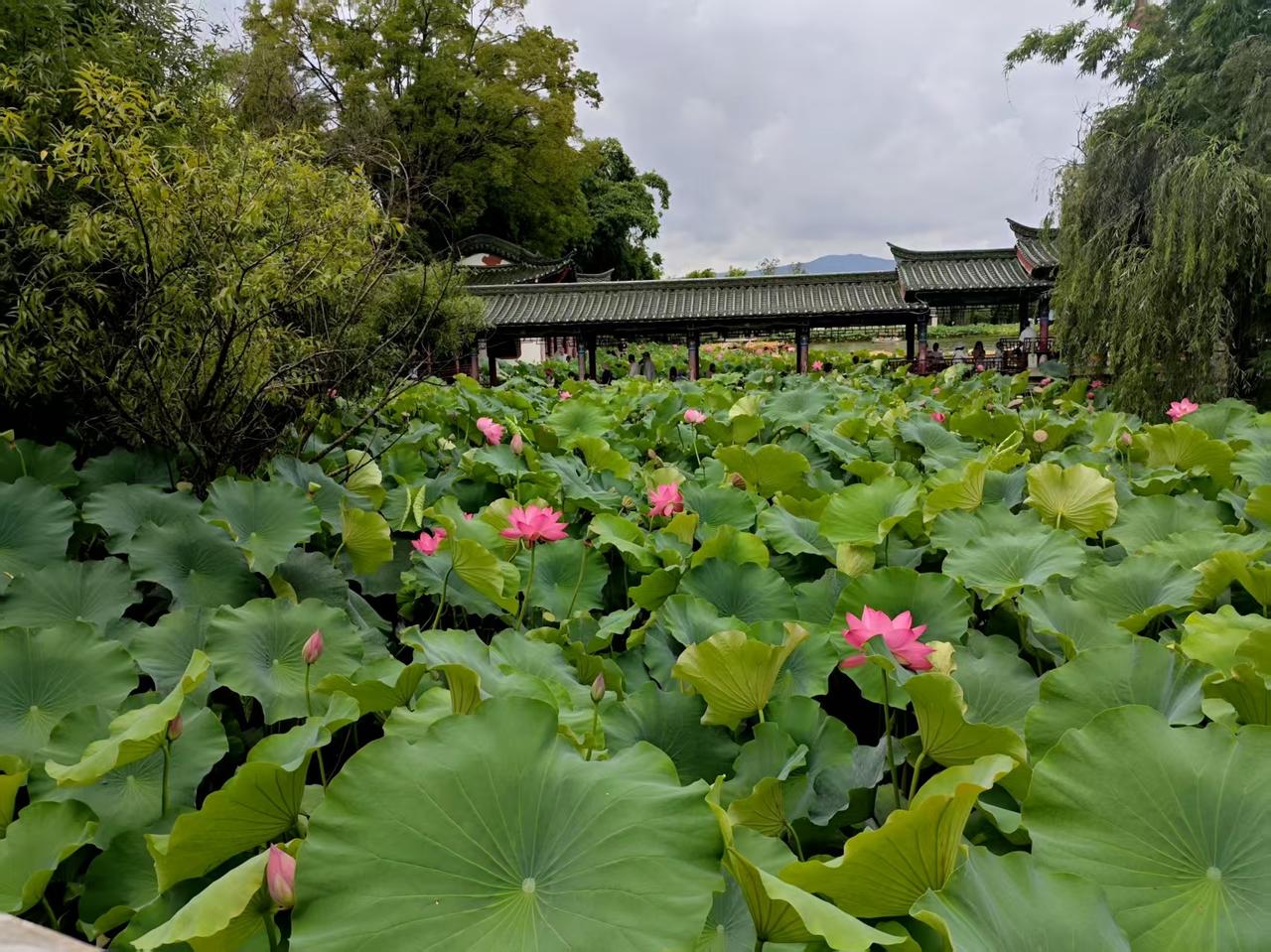 【08.07修身心语】
您好！
与任何人相处，分寸感永远是必要的潜规则，不该问的