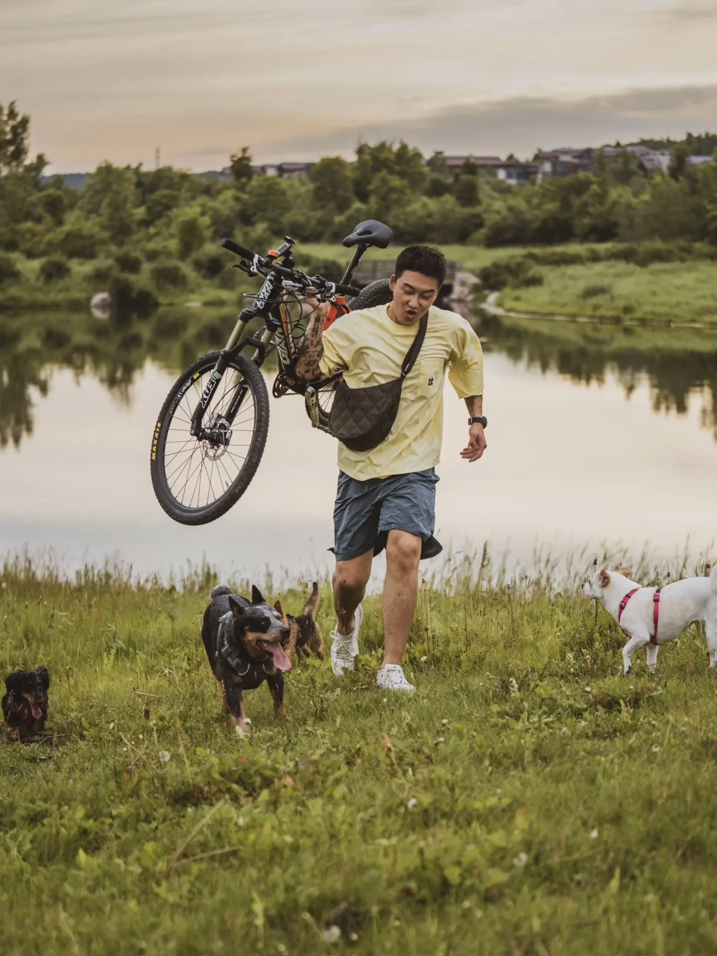这就是小狗带给人的快乐吧！因为太了解人性，所以更喜欢小狗