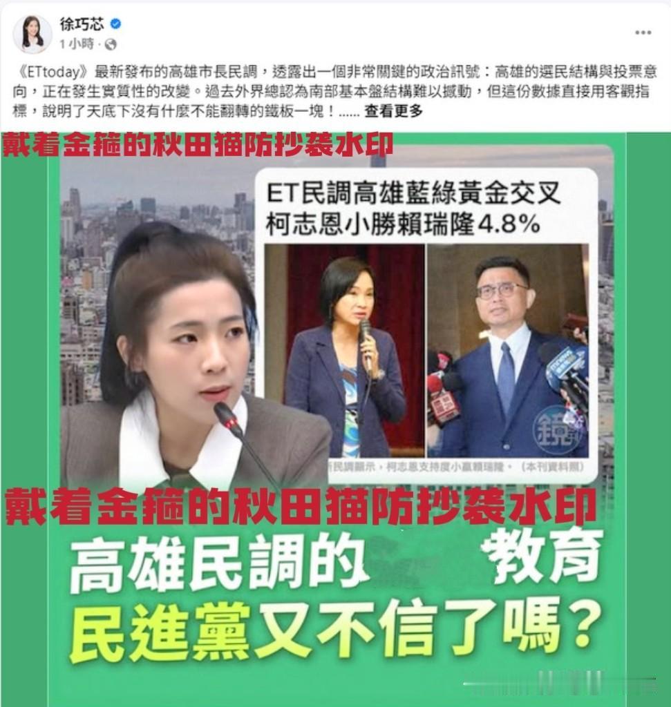 徐巧芯拳打赖瑞隆七寸！
高雄选情民调出现变化，徐巧芯帮腔柯志恩：市民更关心治安和