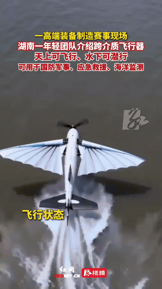 “太争气了！”湖南长沙平均25岁的青年团队，放弃娱乐聚餐，扎根实验室四年潜心钻研