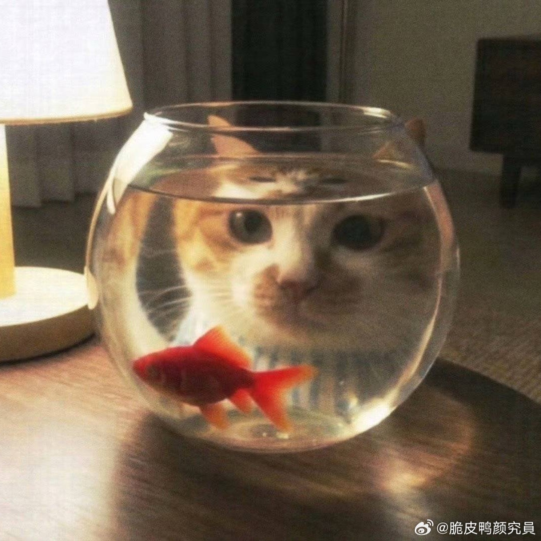 分享图片 