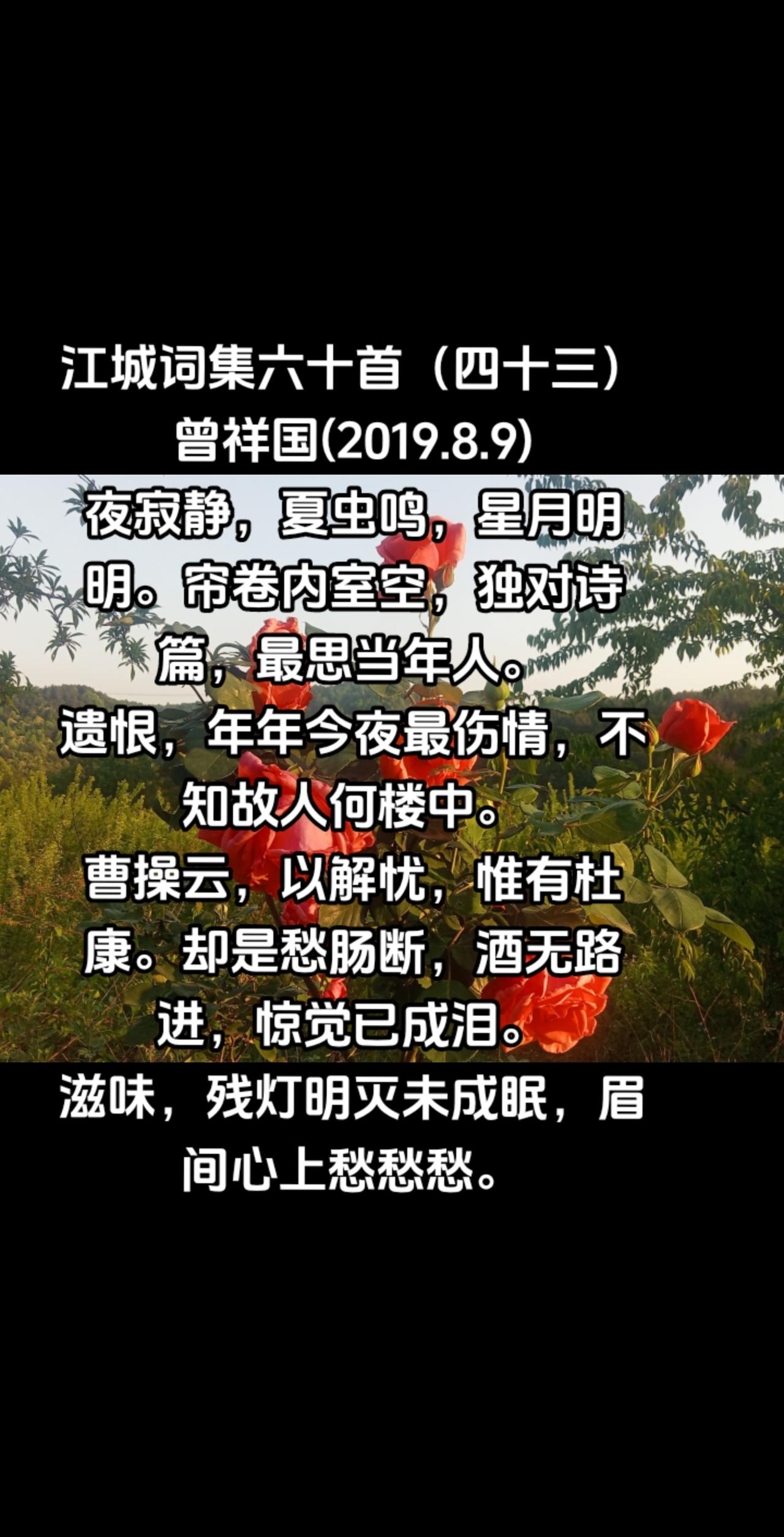 江城词集六十首（四十三）
