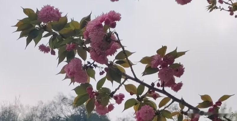 十年情感，败给了一辆车

结婚十年，我以为我们的感情牢不可破。直到上个月，老婆说