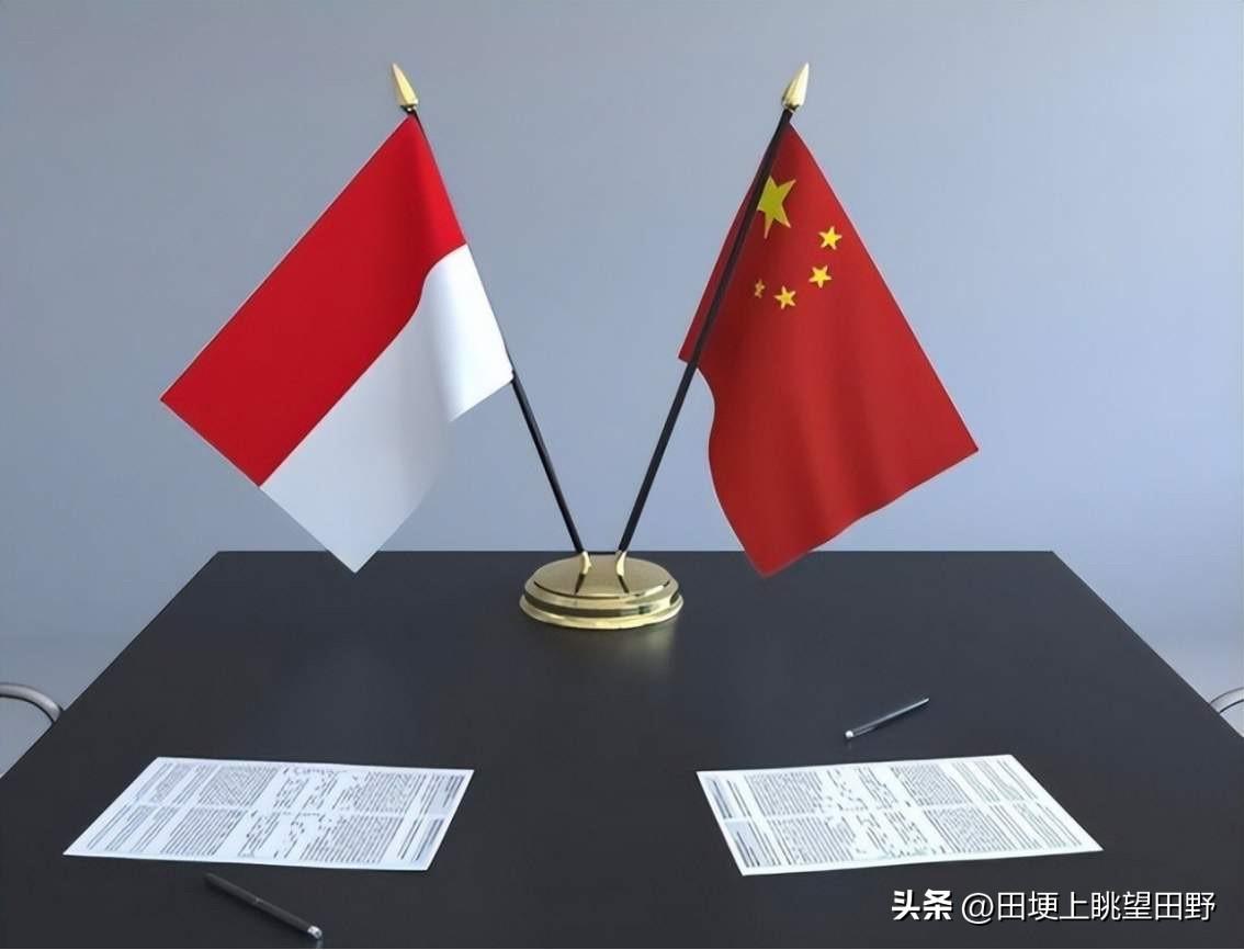 印尼高官又组团来求援了，如果这次还往里跳，那就是不长记性！

最近国际资源圈出了