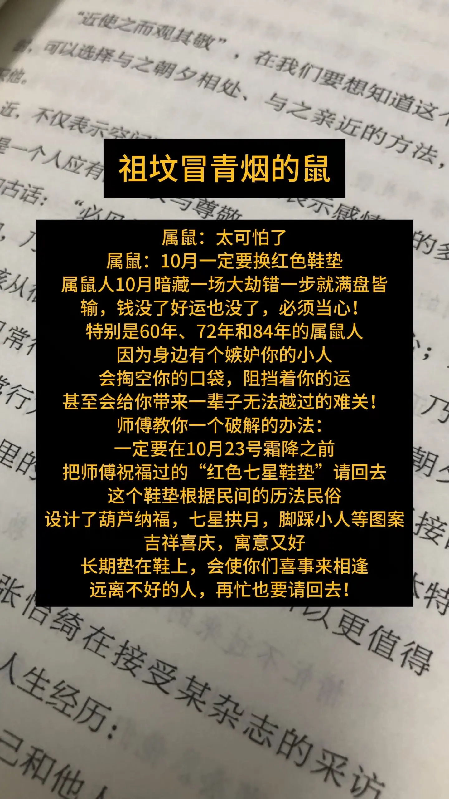 1972年的鼠 1984年老鼠 1996鼠 属鼠的人 生肖鼠