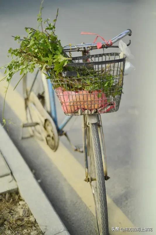 任何人都会喜欢好看又漂亮的事物，包括人。
一个长得漂亮的人，但是处处甩心眼，凡事