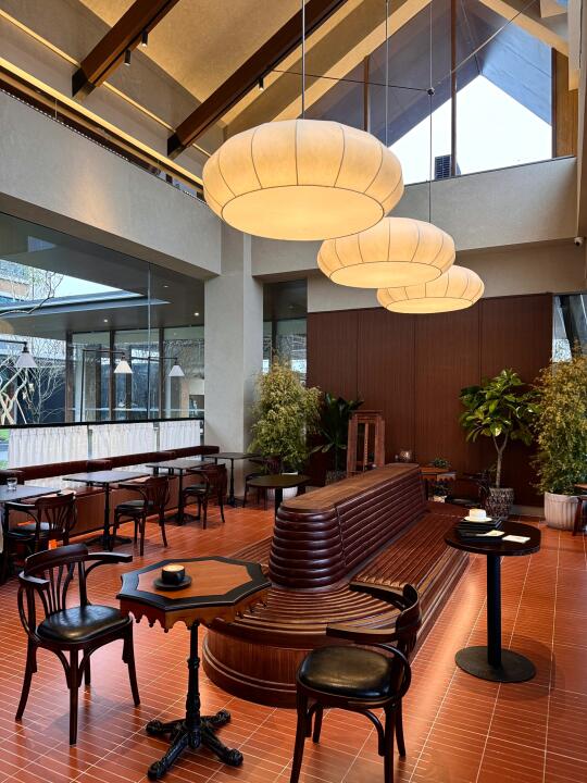 成都的！！成都的！！免费的扬华公园好chill🍵