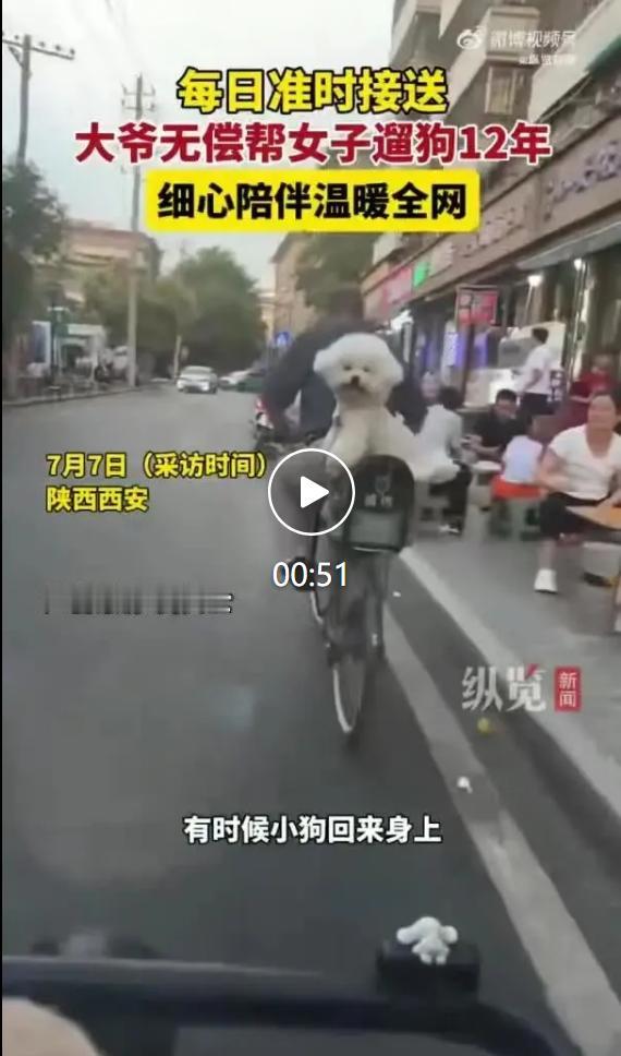 一段大爷骑车遛两只比熊的短视频在各大平台爆火。视频拍摄地点就在西安城墙附近，狗主