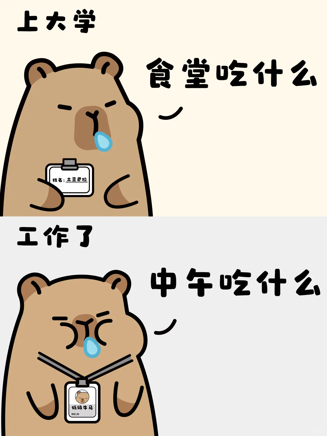 《我这嘴馋的一生》-卡皮巴拉✨