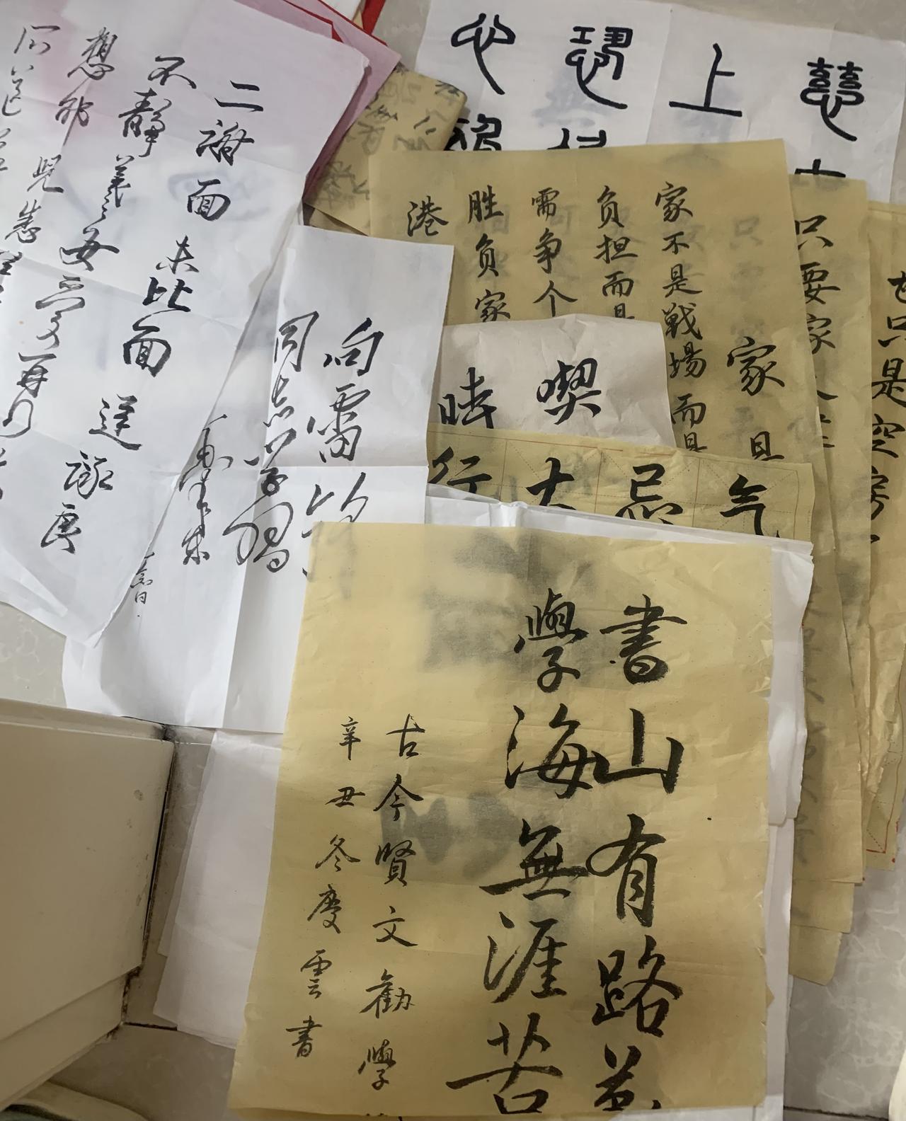今天大扫除，翻出来一些当时不舍得扔掉的，在衣橱顶上放了两年了，练了两年书法和国画