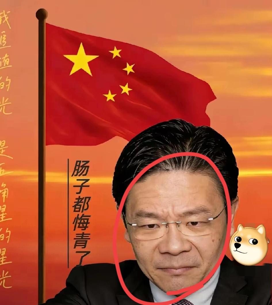 海南封关刚落地，新加坡总理黄循财就满脸愁容，这焦虑根本藏不住！

其实说白了，这