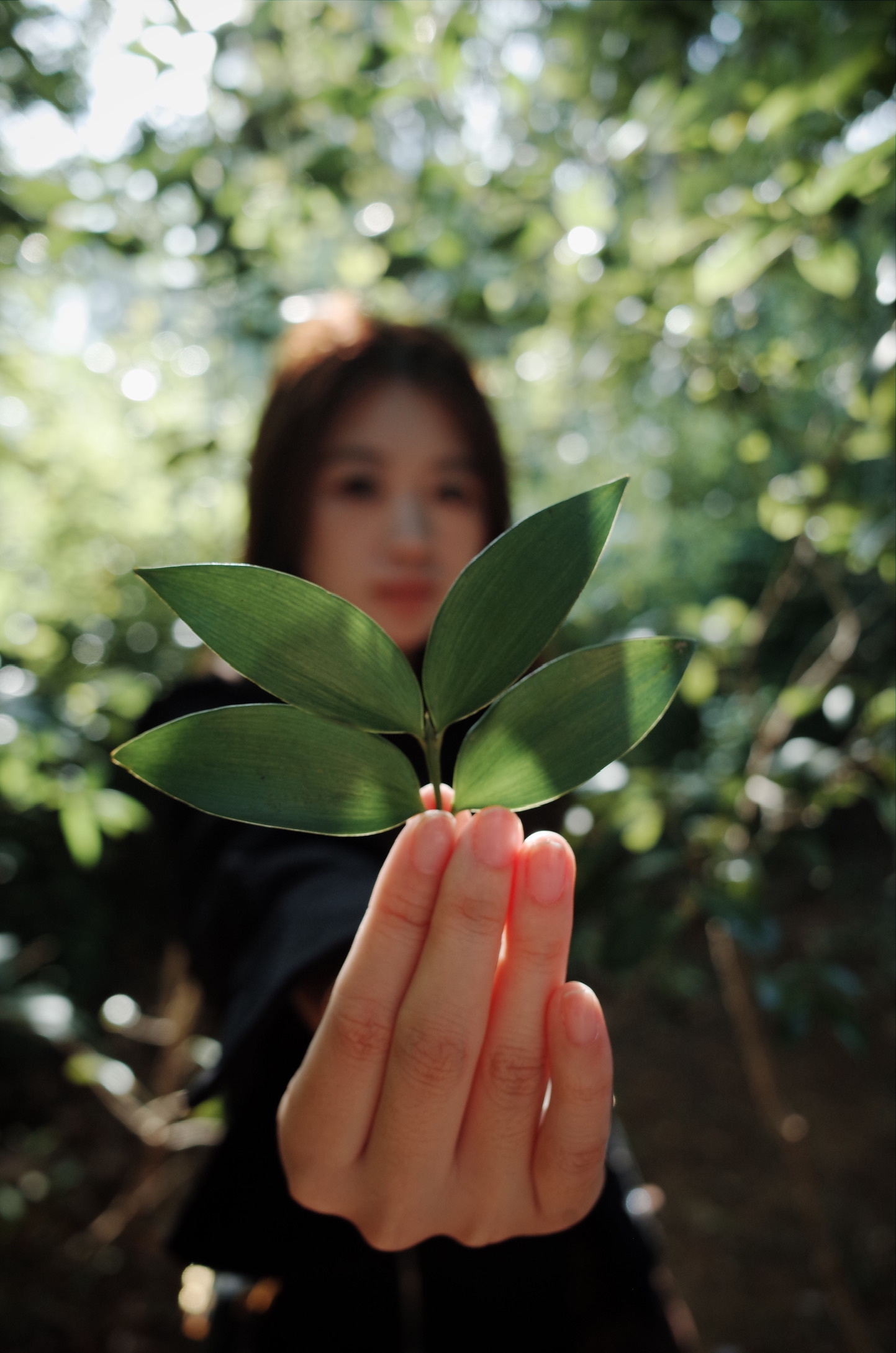 用理光需找光的脉络～ 