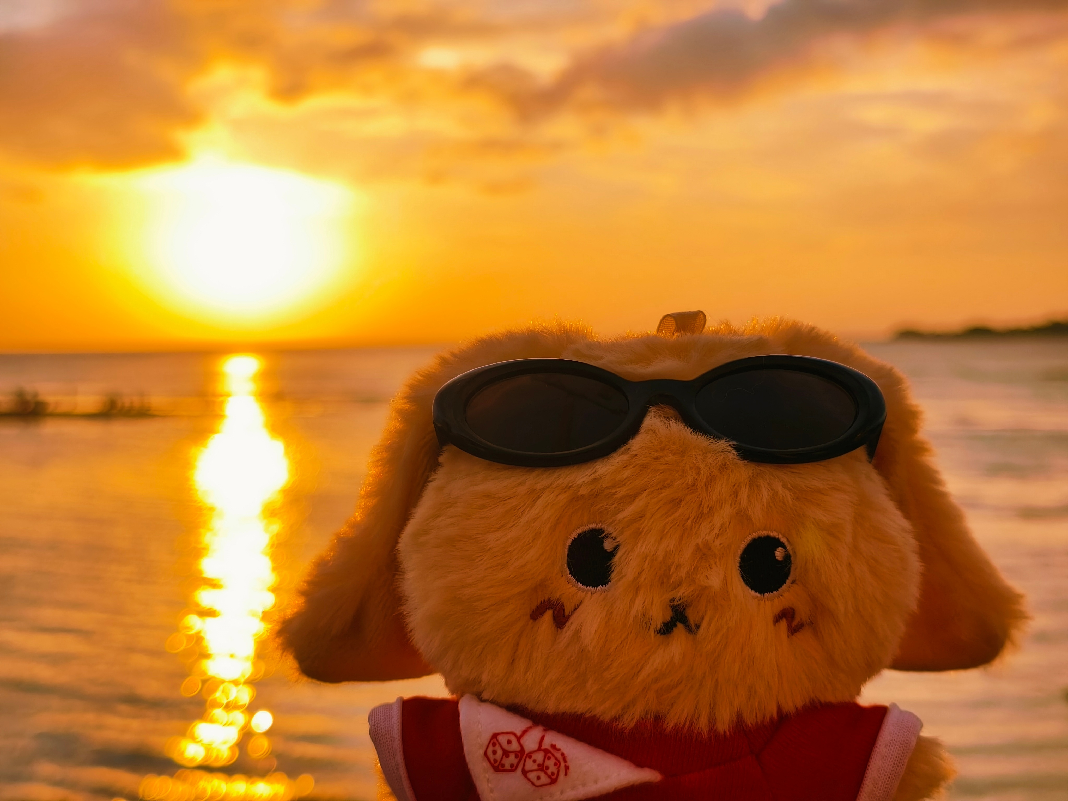 Golden hour🌞  ​​​